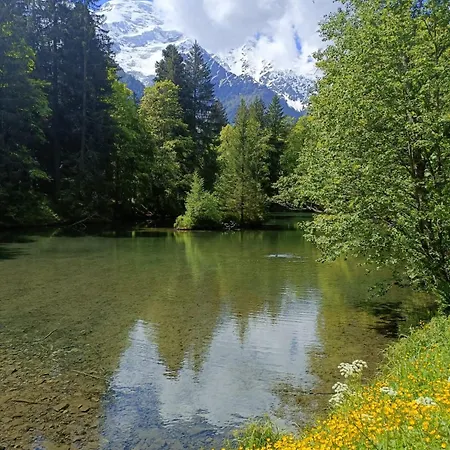 Des Gaillands - Renove - Balcon Avec Vues Lejlighed Chamonix